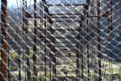 DSC_6478 (Large).JPG